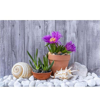 Natural Unpolished Bulk Pebbles 20lbs, 2-3 Inch White River Rocks, Hand-Picked Premium Stones for Landscaping and Garden Design Fish Tank, Flower Pots, Pathways and Backyard
