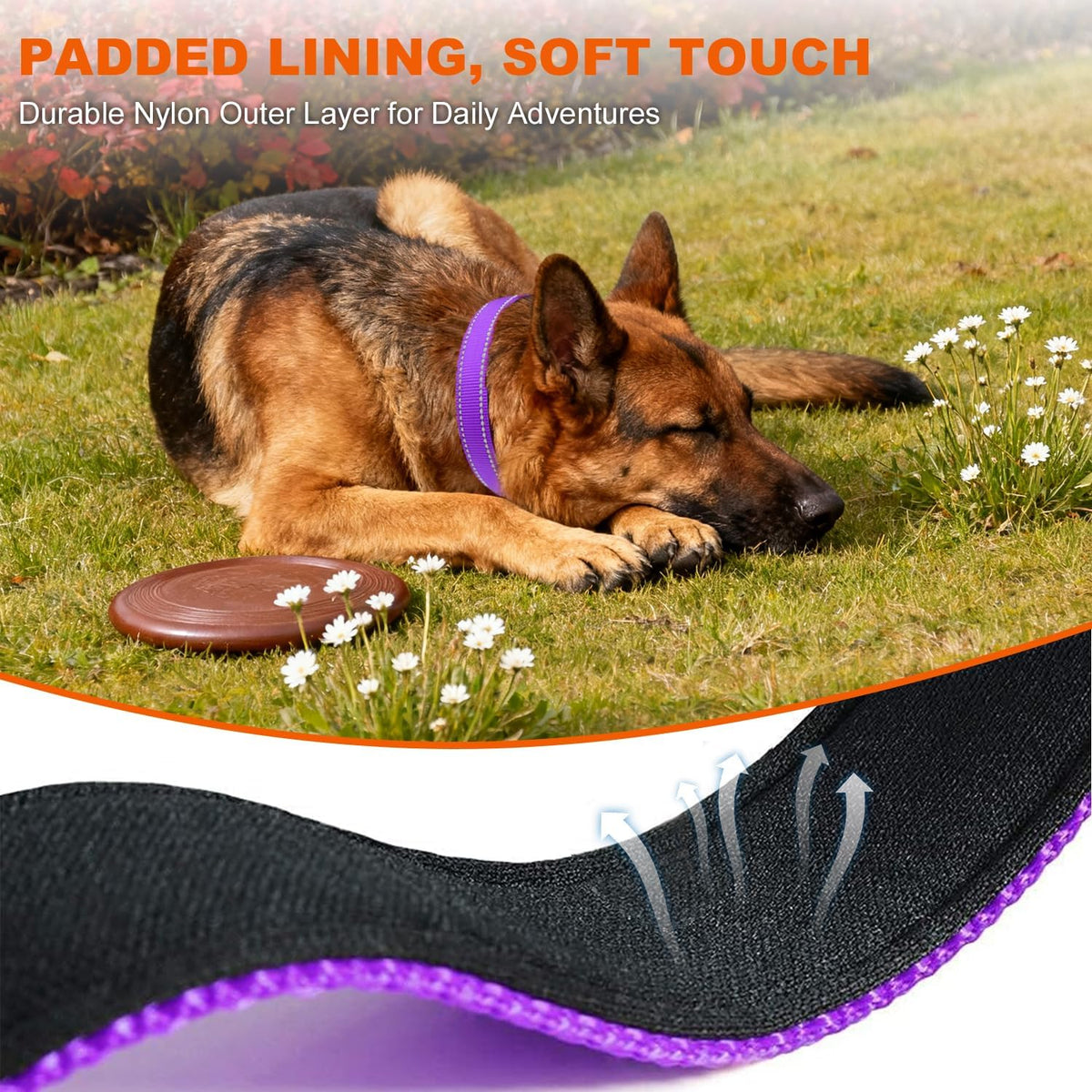 Taglory Reflective Large Dog Collar - Purple / X-Large (Pack of 1) - image 4