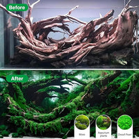 Driftwood for Aquarium Natural Aquarium Wood for Aquascaping Fish Tank Decorations Reptile Tank Decor (Natural Driftwood 6-10" (Pack of 3)+Protein Cotton)