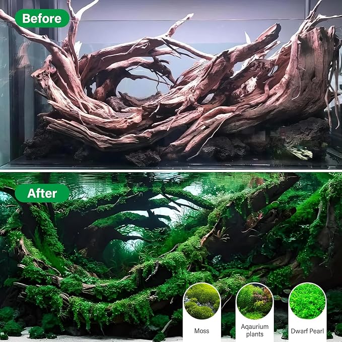 Driftwood for Aquarium Natural Aquarium Wood for Aquascaping Fish Tank Decorations Reptile Tank Decor (Natural Driftwood 6-10" (Pack of 3))