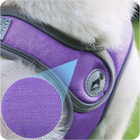 Dog Harness with Leash Set, No Pull Adjustable Step in Pet Vest – Essentials for Dogs - Purple / S - image 2