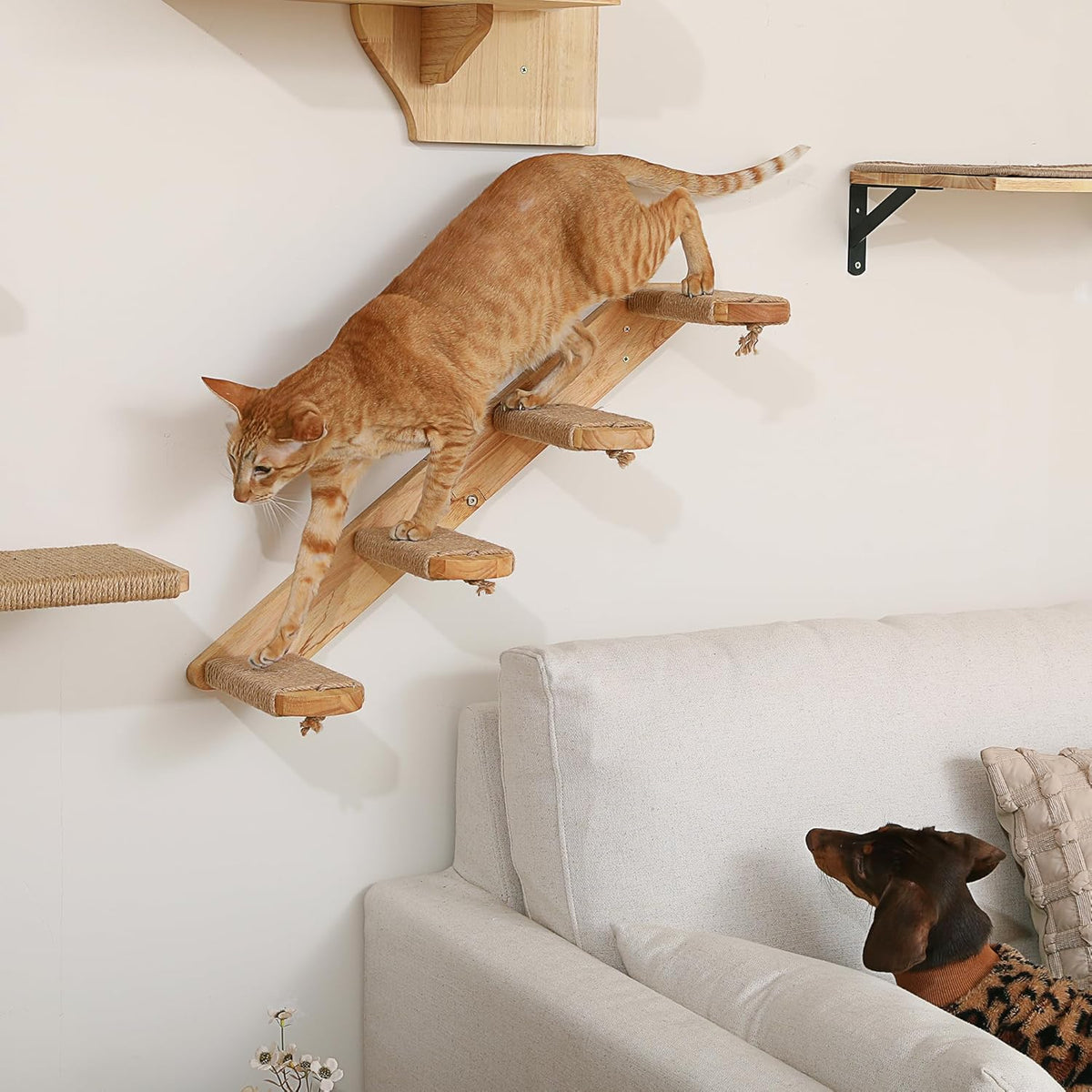 FUKUMARU Cat Climbing Shelf Wall Mounted - Large - Bidirectional - image 4