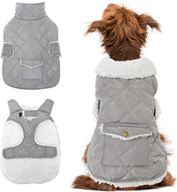 Dog Winter Coat for Cold Weather - Grey / Large