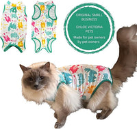 Cat Recovery Suit Surgical Onesie for Post Surgery/Neuter/Spay. Protection for Wounds and Skin infections for Male/Female Cats. Comfortable, Safe, (no Loose Cords) Cone Alternative (Medium)
