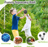 DISSKNIC Indestructible Squeaky Dog Ball, Relieves Anxiety - Small / Black - image 4