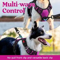 rabbitgoo Dog Harness for Large, No Pull 3 Buckles Easy On & Off – Essentials for Dogs - Purple / X-Large - image 3