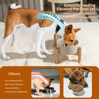 Elevated Ceramic Dog Bowl - Light Gray / Medium - image 4