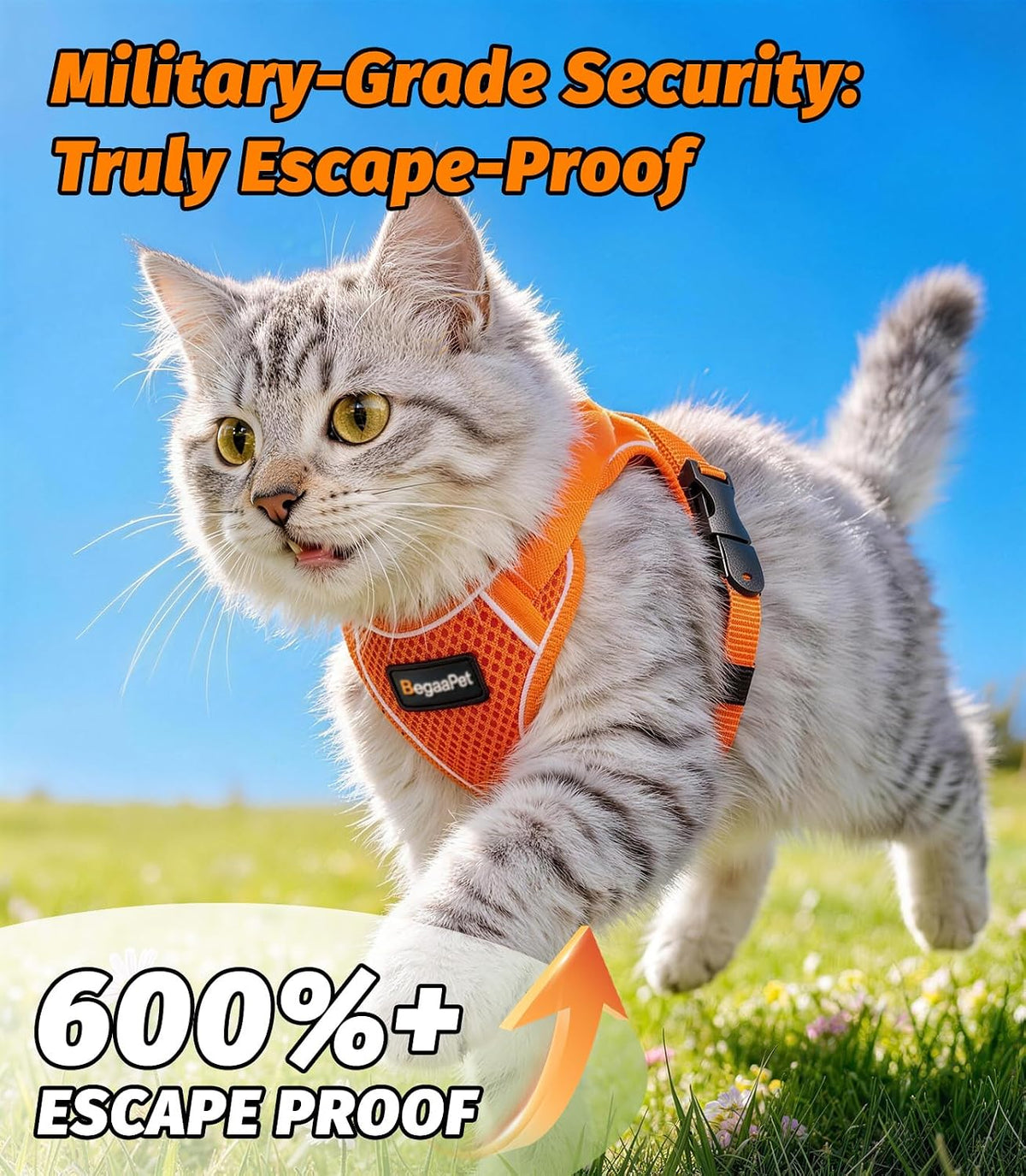 Cat Harness and Leash for Walking - Orange / S (7-12lb) - image 2