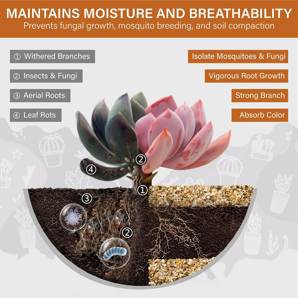 NUPICK 1-2mm Coarse Sand for Plants - 1-2mm / 3lb - image 2