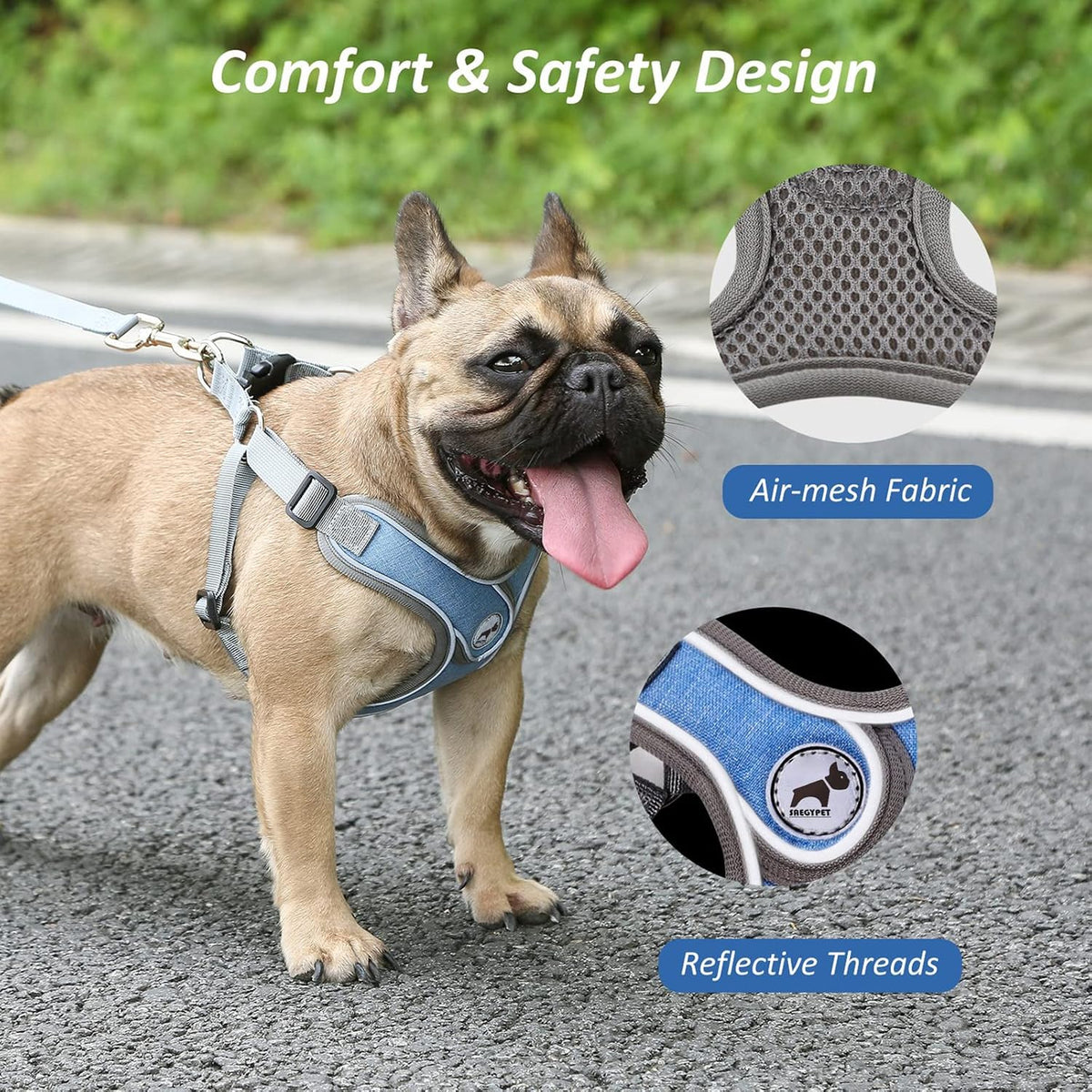 Dog Harness with Leash Set, No Pull Adjustable Step in Pet Vest – Essentials for Dogs - Blue / L - image 3