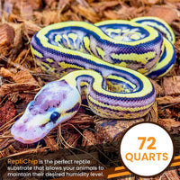 ReptiChip Reptile Substrate Coconut Chip Bedding 72 Quart Compressed - 3 Pack Breeder Bundle - image 2