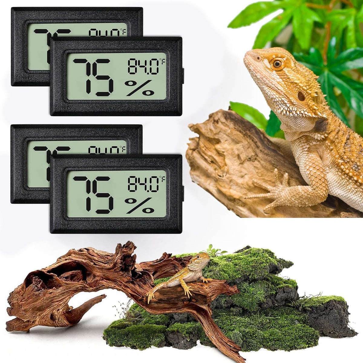 Reptile Thermometer and Humidity Gauge - 4PCS Rectangular