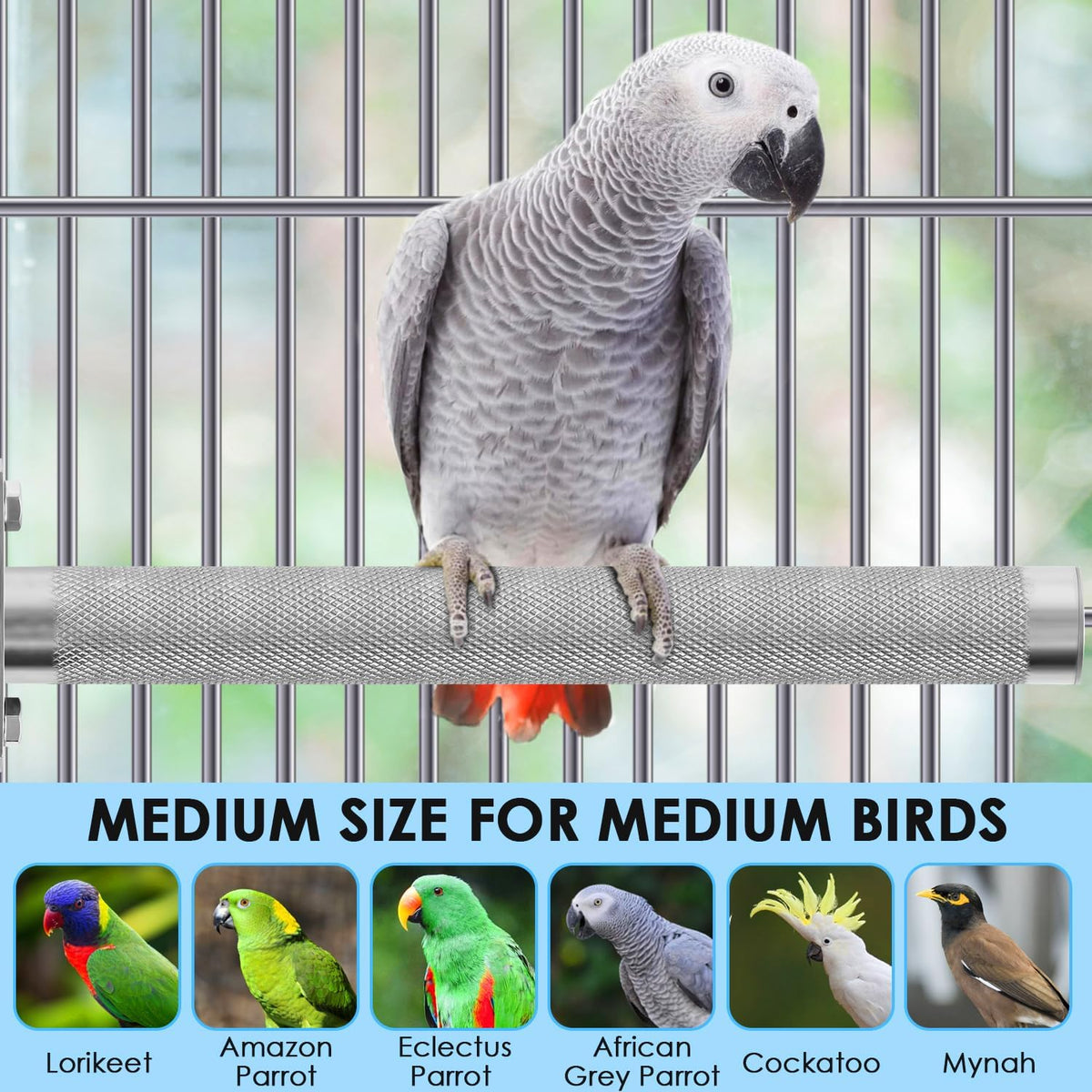 KATUMO Parrot Perch - Stainless Steel African Grey Perch Bird Cage Accessories for Small to Large - S: 6 x 0.7 inch - image 3