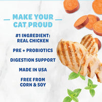 Shameless Pets Celebration Birthday Crunchy Cat Treats Chicken and Catnip Treats with Digestive Support