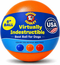 Doggie Dooley Virtually Indestructible Dog Ball - Assorted / Medium (6 inch)