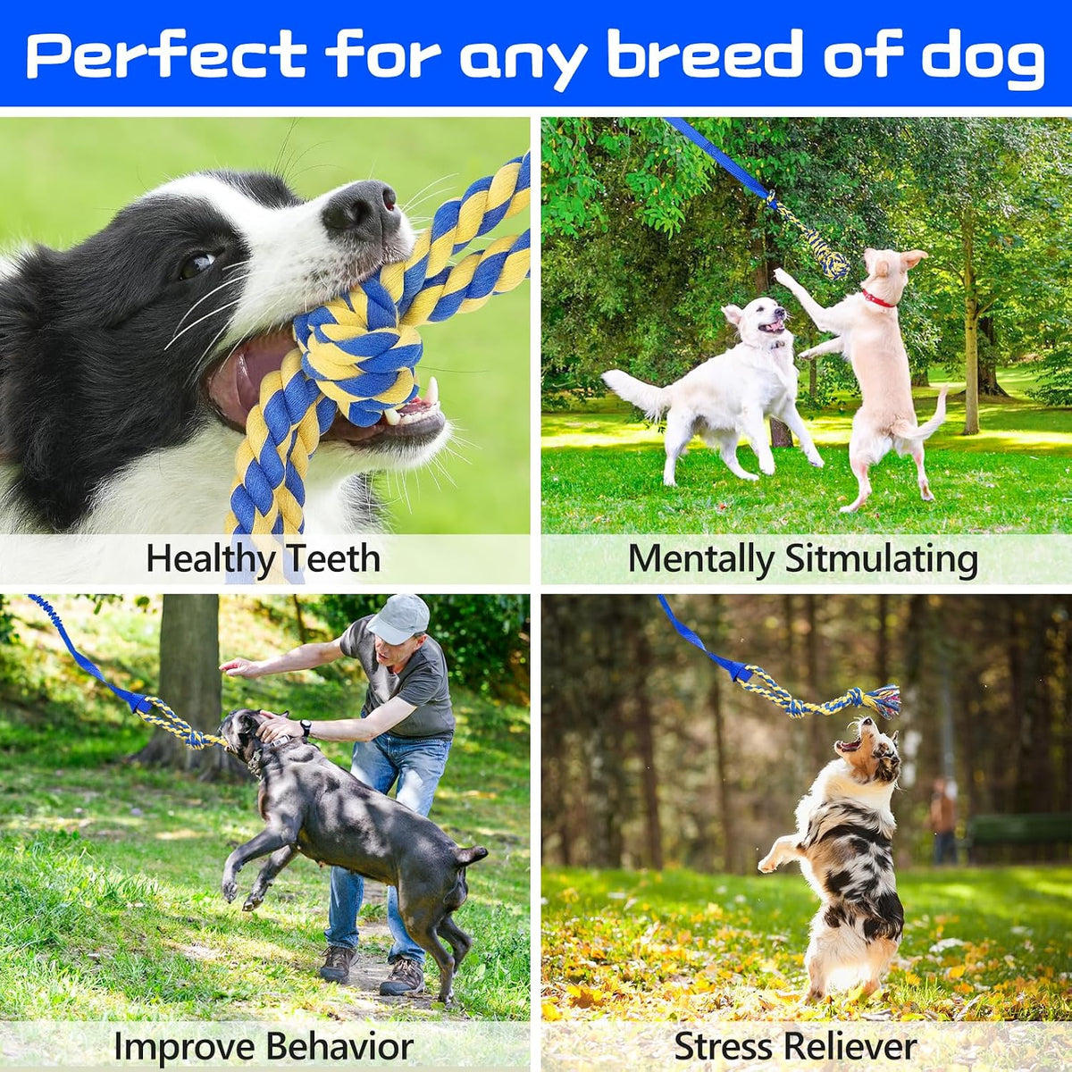 XiaZ Tug of War Dog Toy, Interactive Dogs Toy Bungee Hanging Tether with 2 Chew Rope Toys, Heavy - Blue - image 3