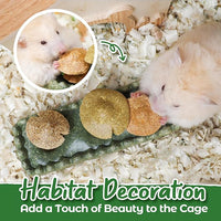 TEEWY 4PCS Guinea Pig Chew Toys, Prevent Teeth Overgrowth, Natural Vegetables and Timothy Grass, Hamster Chew Toys, Guinea Pig Toys, Chinchilla Toys, Grass Patch & Mushrooms