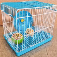 2 Pack Hamster Bowl Ceramic Prevent Chewing Feeding Bowl Water Food - Green Yellow Orange - image 3
