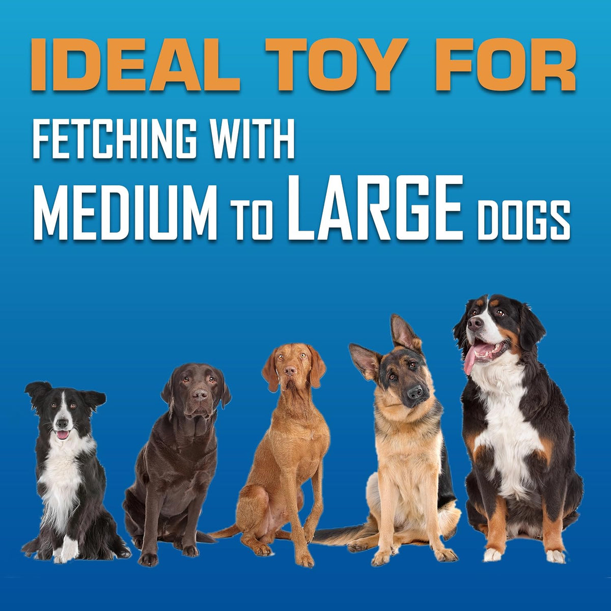 Nerf Dog Tire Flyer Dog Toy Gift Set - Red / 10 Inch (Pack of 2) - image 3