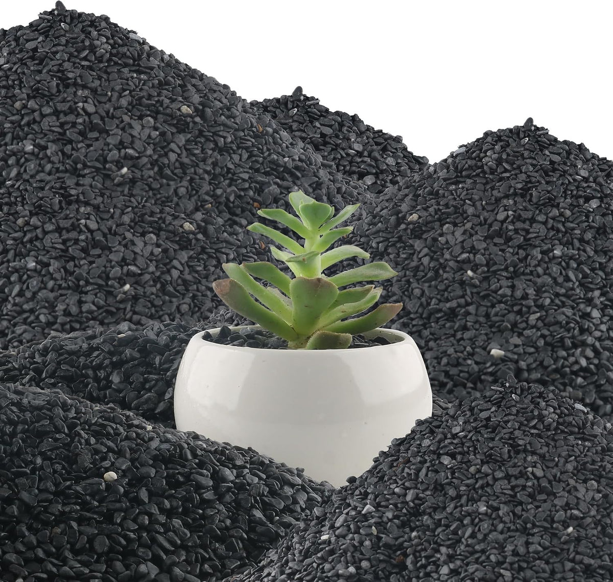 3lb Cactus Pea Gravel Rocks - 45LB / Black Galaxy