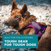 Wilderdog Lightweight Dog Harness with Reflective Straps - Huckleberry / Small - image 2