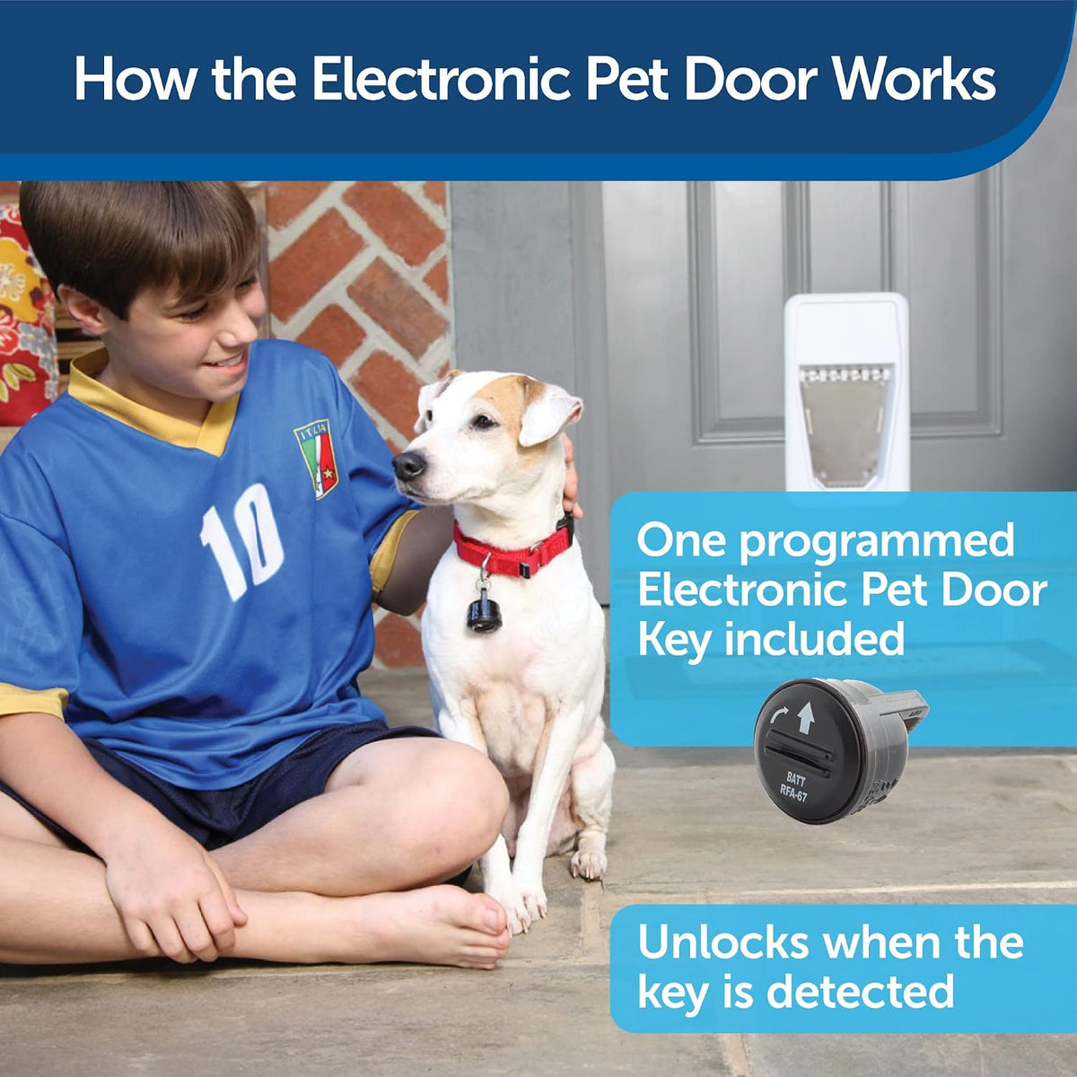 PetSafe Electronic Pet Door Wall Conversion Kit - Electronic Pet Door / Large - image 2