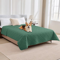 PAWFINITY Waterproof Dog Blanket for Couch - Green / 52x82 Inch (Pack of 1)