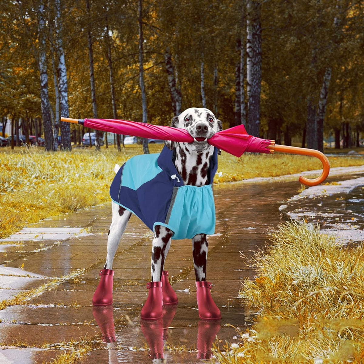Hooded Dog Raincoat, Reflective Large Dog Rain Poncho - 3X-Large / Blue - image 4
