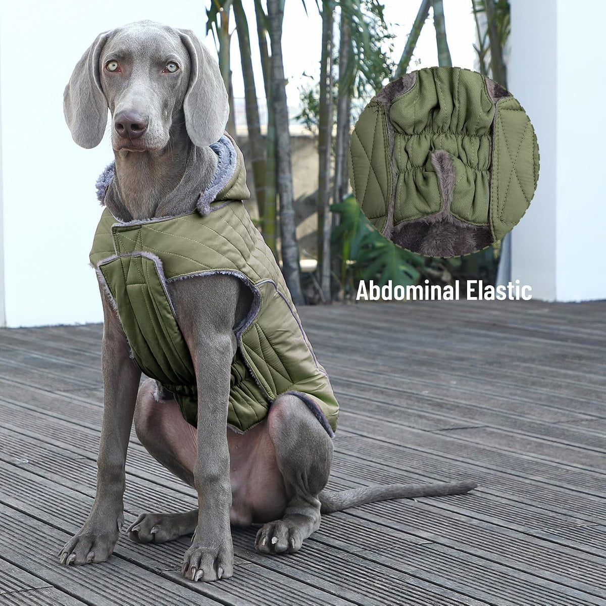 Warm Fleece Dog Hoodie for Small Dogs, Winter Puppy Coats - Green / Medium - image 4