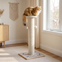 Tall Cat Scratching Post for Indoor Cats Adults with Carpet - White / Small（Round） - image 4
