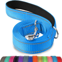 Joytale Reflective Dog Leash for Medium & Large Dogs - 5 ft Standard / SkyBlue