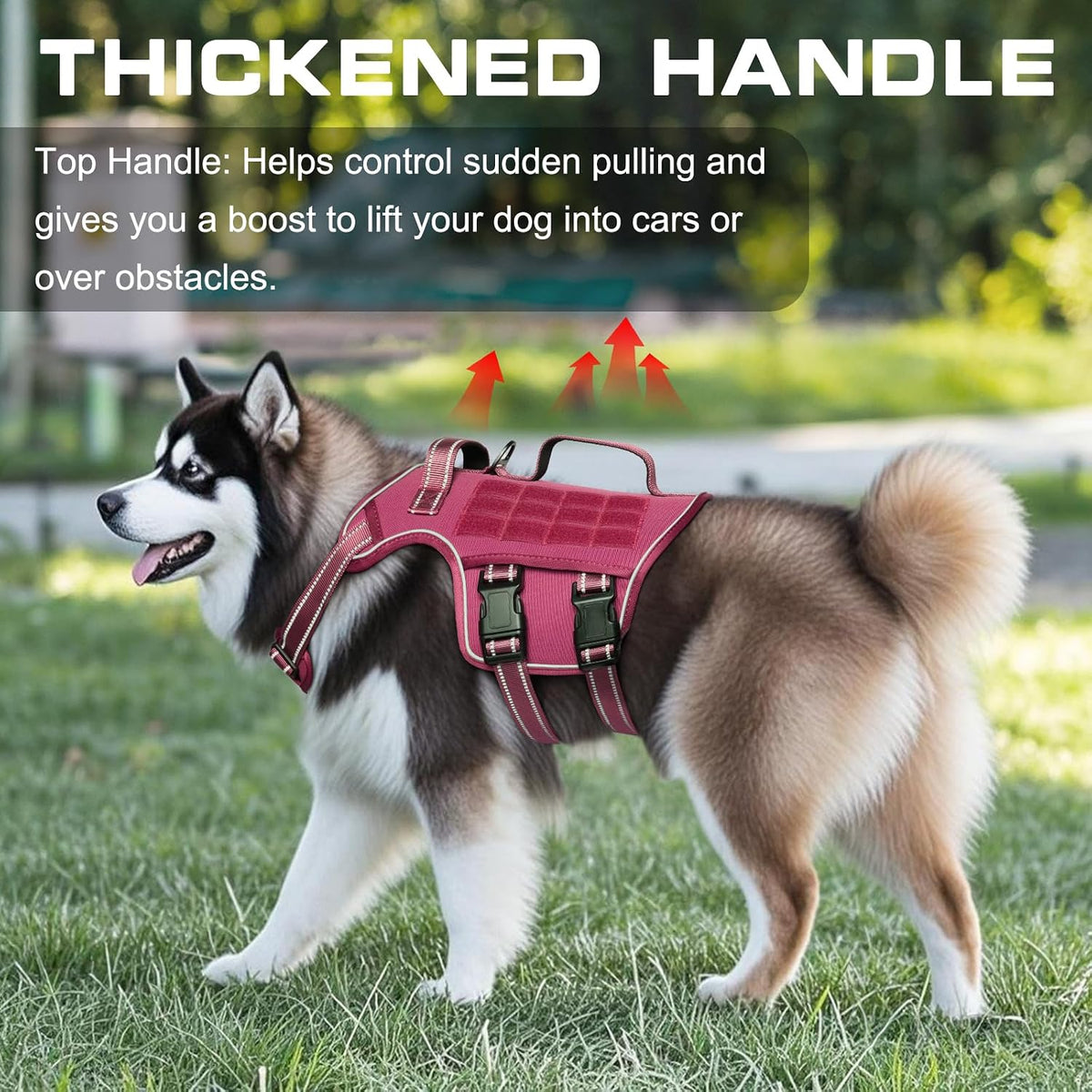 Dog Harness for Large Dogs - Pink / L(Neck:18-24",Chest:25-36"),45-80 lbs - image 3
