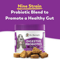 Dr. Harvey's Digestive Probiotic Soft Chews for Dogs, 7 Probiotics for Gut Health, Diarrhea and Bowel Support, Peanut Butter Flavor (90 Chews)