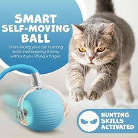 Pawlo Speedy Tail 2.0 Cat Toy –Teazys Turbo Tail Upgrade – Interactive Cat Toy – Kitten Toys – Automatic cat Toy for Boredom – Moving cat Toys for Indoor Cats with 2 Tails (Blue)