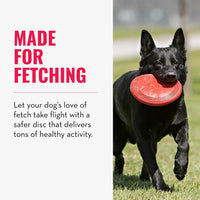 KONG Flyer, Natural Rubber Flying Disc Fetch Toy - Small (Pack of 2) - image 2