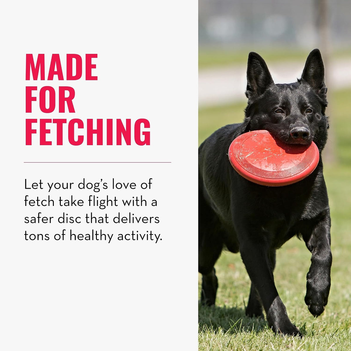 KONG Flyer, Natural Rubber Flying Disc Fetch Toy - Small (Pack of 2) - image 2