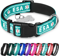 Reflective Neoprene Padded Dog Collar with Quick Release Buckle – Essentials for Dogs - Teal - ESA / X-Large