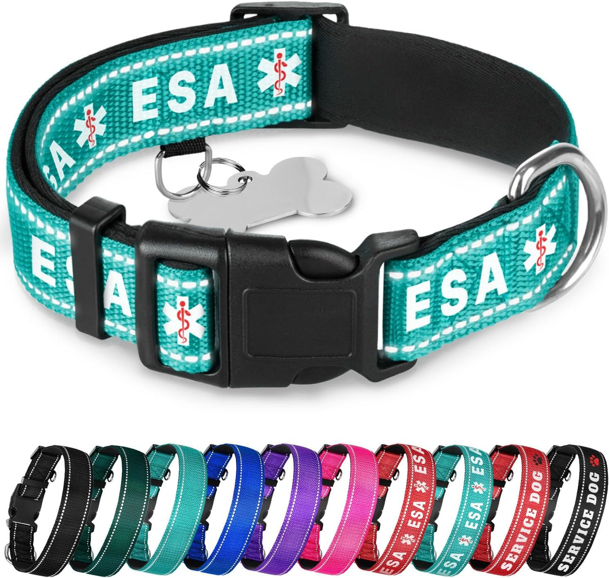 Reflective Neoprene Padded Dog Collar with Quick Release Buckle – Essentials for Dogs - Teal - ESA / X-Large