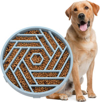 WHIPPY Slow Feeder Dog Bowl - blue