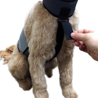 CoolerDog Dog Cooling Vest & Cooling Collar - M - image 3