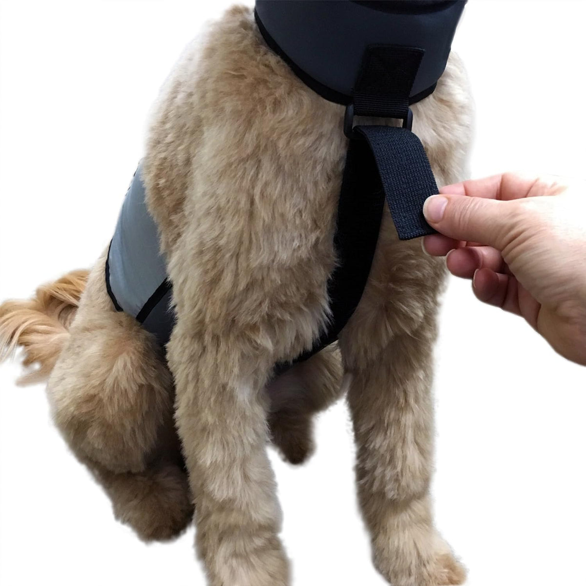 CoolerDog Dog Cooling Vest & Cooling Collar - M - image 3