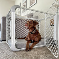 Diggs Evolv Modular Dog Crate for Dogs 16-18" Tall - Intermediate (38.1"L x 24.9"W x 25.6"H) / Ash - image 4