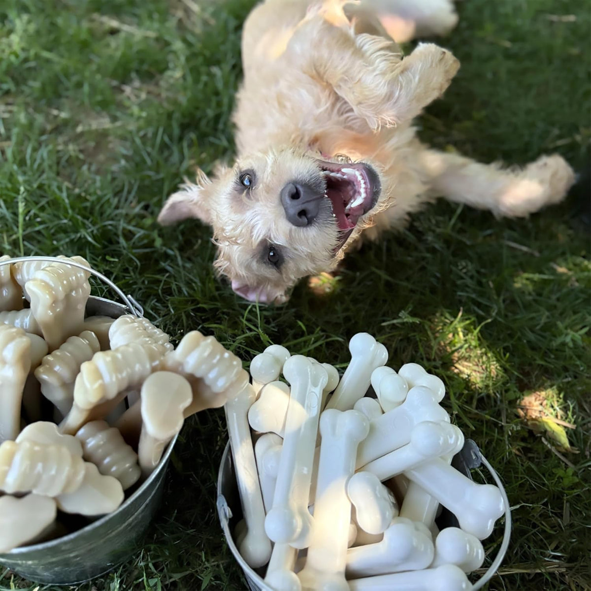 Nylabone Power Chew Original Bone Dog Chew Toys - Chicken / Small - image 2