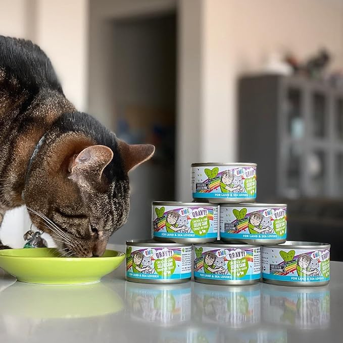 Weruva B.F.F. OMG - Best Feline Friend Oh My Gravy!, Love Munchkin! with Chicken & Pumpkin in Gravy Cat Food, 2.8oz Can (Pack of 12)