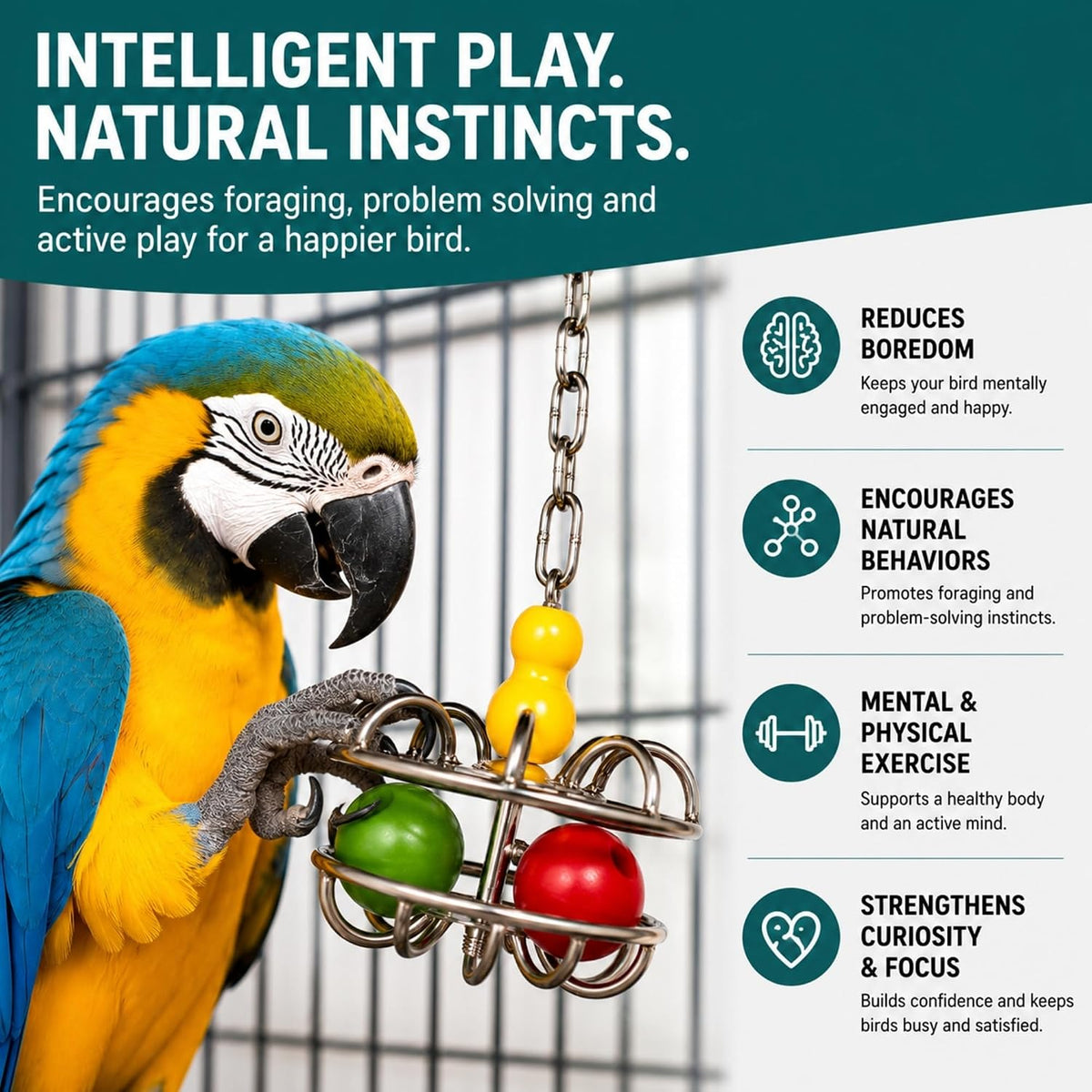 Bird Toys for Large Birds Stainless Steel Bird Toy with Traveling - Impossi-Ball - image 3