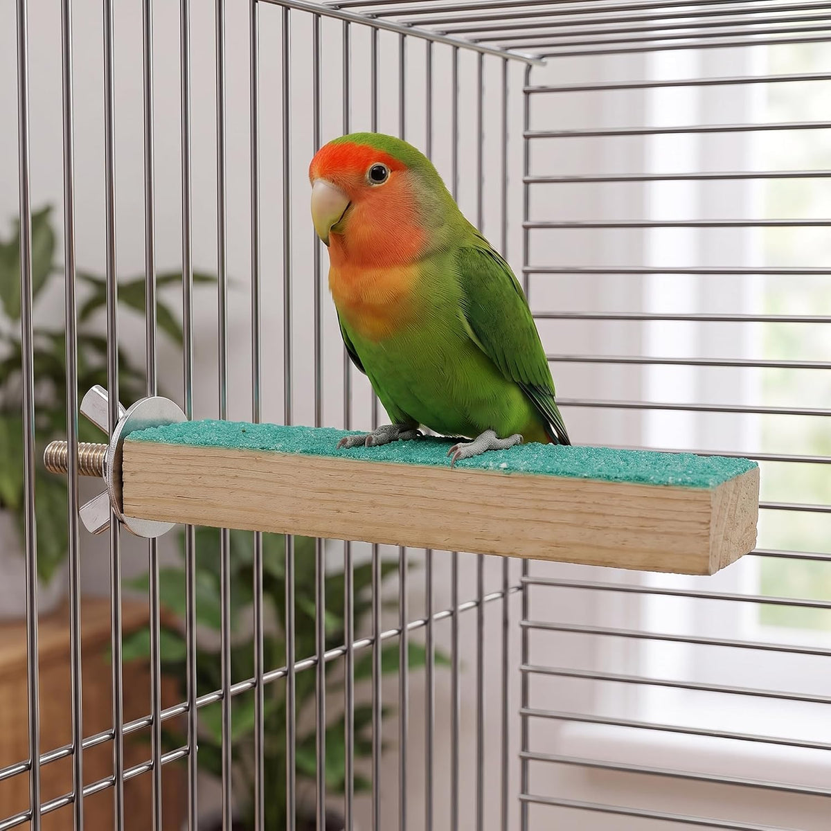 Bird Cage Perch Stand 2-Pack, Beak and Foot Grinding Platform - image 4