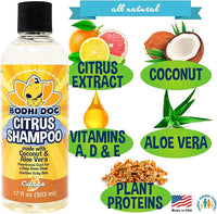 Bodhi Dog Refreshing Orange Citrus Shampoo - Deep Cleaning Coconut & Aloe Formula - Natural Soothing, Moisturizing Pet Wash for Dogs, Cats, Puppies - Tear-Free (17 Fl Oz)