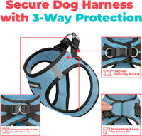 Voyager Step-in Air Dog Vest Harness - Baby Blue/Black Trim / XXS (Chest: 12 - 13.5") - image 2