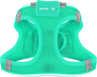 Light Up Dog Harness,Rechargeable LED Dog Harness for Small Medium Large Dogs,Reflective Lighted Safety Vest for Night Walking & Camping,Lightweight & Adjustable,Light Green,S