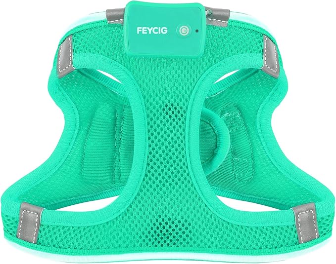 Light Up Dog Harness,Rechargeable LED Dog Harness for Small Medium Large Dogs,Reflective Lighted Safety Vest for Night Walking & Camping,Lightweight & Adjustable,Light Green,M